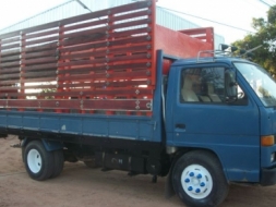 ISUZU NPR115 รถห้างแท้ เครื่องดี ขับดี ครัทซีสวย รถห้างแท้ เครื่องดี ขับดี ครัทซีสวย พร้อมใช้งาน