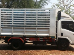 ขายหกล้อดั้ม ISUZU NMR130 ปี55