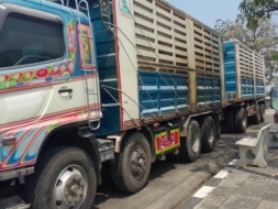 ขายรถสิบล้อ hino FM1A  344 ปี 52 คอกเกษตรดั้มเหล็ก อู่CT TRUCK รถเดิมๆราคาต่อรอง