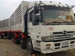 รถบรรทุก 24 ล้อ 2 เพลาดั๊ม Hino Profia เครื่อง K13C &nbsp;360 แรง &nbsp;เกีย์ อีตัล พ่วงคอกเกษร 3 เพ