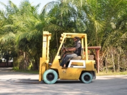 ขายFORKLIFT KOMATSU FG15-12 (1.5ตัน)สวยเดิมจากญี่ปุ่น ยังไม่เคยใช้ในไทย 119,000เท่านั้น!!