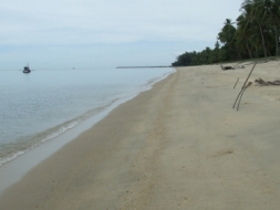 ขออนุญาติขายที่ดินแปลงสวยหน้าติดชายหาดหลังติดถนน9ไร่กว่า