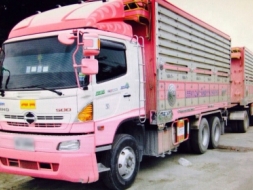 ขายรถพ่วง 22 ล้อ แม่-ลูก กระบะเนียมคอกเกษตรดั้ม มี 2 พ่วง สวยมาก HINO 344 ปี.55 ขายดาวซ์ก็ขาย 650000