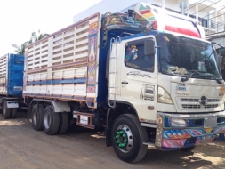 ขายรถพ่วง22ล้อ HINO MEGA ซีรีส์500 344แรง HiSpeed ปี55 เบรคลม ดัมพ์เสรีชัยคอกเกษตร สภาพเดิม