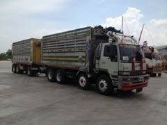 ขายรถพ่วง 24 ล้อ แม่-ลูก กระบะเนียมคอกเกษตรดั้ม HINO FM3M วางเครื่อง.P11C -320 แรง เกียร์เดิม มีสโล