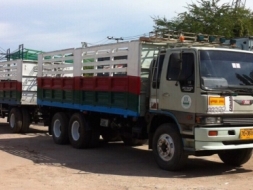 ขายรถบรรทุก HINO  3เอ็ม 240 พร้อมใช้งานครับ