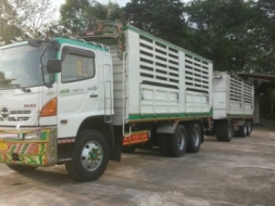 HINO344 ซีรี่500 ตัวระบบเบรกแห้ง รถบ้านมือเดียวใช้น้อย สภาพนางฟ้า9y