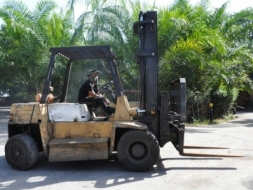 (ลดกระหน่ำ)ขายรถFORKLIFT TCM FD70 งากระดก เสาสูง4เมตร 7ตัน สวยเดิมจากญี่ปุ่น ยังไม่เคยใช้ในไทย 390,0