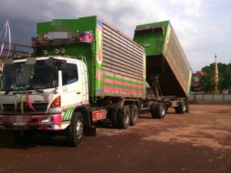 HINO 10 ล้อพ่วง ขายดาว