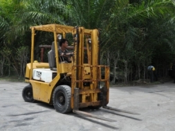 ขายFORKLIFT TCM FD20(2ตัน)ดีเซล สวยเดิมจากญี่ปุ่น ยังไม่เคยใช้ในไทย 129,000เท่านั้น!!