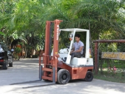 ขายFORKLIFT NISSAN FG15(1.5ตัน) เสา3.50เมตร สวยเดิมจากญี่ปุ่น ยังไม่เคยใช้ในไทย 115,000เท่านั้น!!