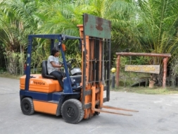 ขายFORKLIFT TOYOTA 5FG18(1.8ตัน) เสา5เมตร ทรูฟรี้ สวยเดิมจากญี่ปุ่น ยังไม่เคยใช้ในไทย 180,000เท่านั้