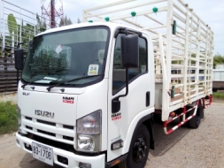 6 ล้อกลาง  *Euro.3*  ISUZU  NMR  130 แรงม้า *คอมมอนเรว*  รถสวยเดิม+สวยจริง+พร้อมใช้งาน * รถห้างแท้ *