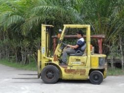 (ลดกระหน่ำ)ขายFORKLIFT MITSUBISHI FD20(2ตัน)ดีเซล สวยเดิมจากญี่ปุ่น ยังไม่เคยใช้ในไทย 139,000เท่านั้