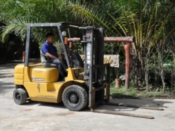 (ลดกระหน่ำ)ขายFORKLIFT MITSUBISHI FG20(2ตัน) สวยเดิมจากญี่ปุ่น ยังไม่เคยใช้ในไทย 135,000เท่านั้น!!