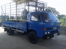 ISUZU NPR 115 แรง ห้างแท้ จดปี 36