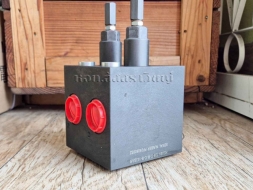 เซฟตี้วาล์ว (Safety valve block) HOF HSUB1-T06